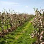 Appartamento Schoene 1 Direkt Am Fleth Jork