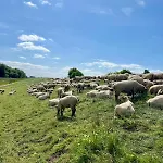 Appartamento Schoene 1 Direkt Am Fleth *