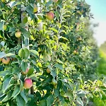 Appartamento Schoene 1 Direkt Am Fleth Jork